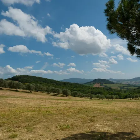 Fonteintanata Miemo
