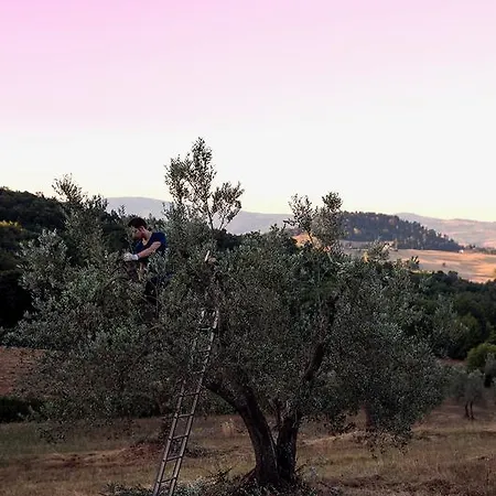 Fonteintanata Βίλα *